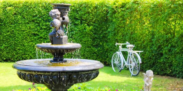 Read more about the article Water Fountain’s Care and Maintenance Tips